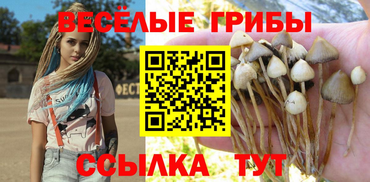Великий Устюг  Галлюциногенные грибы прущие грибы  Вход с VPN 
